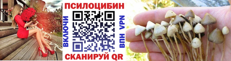 Купить  Комсомольск-на-Амуре  Галлюциногенные грибы прущие грибы 